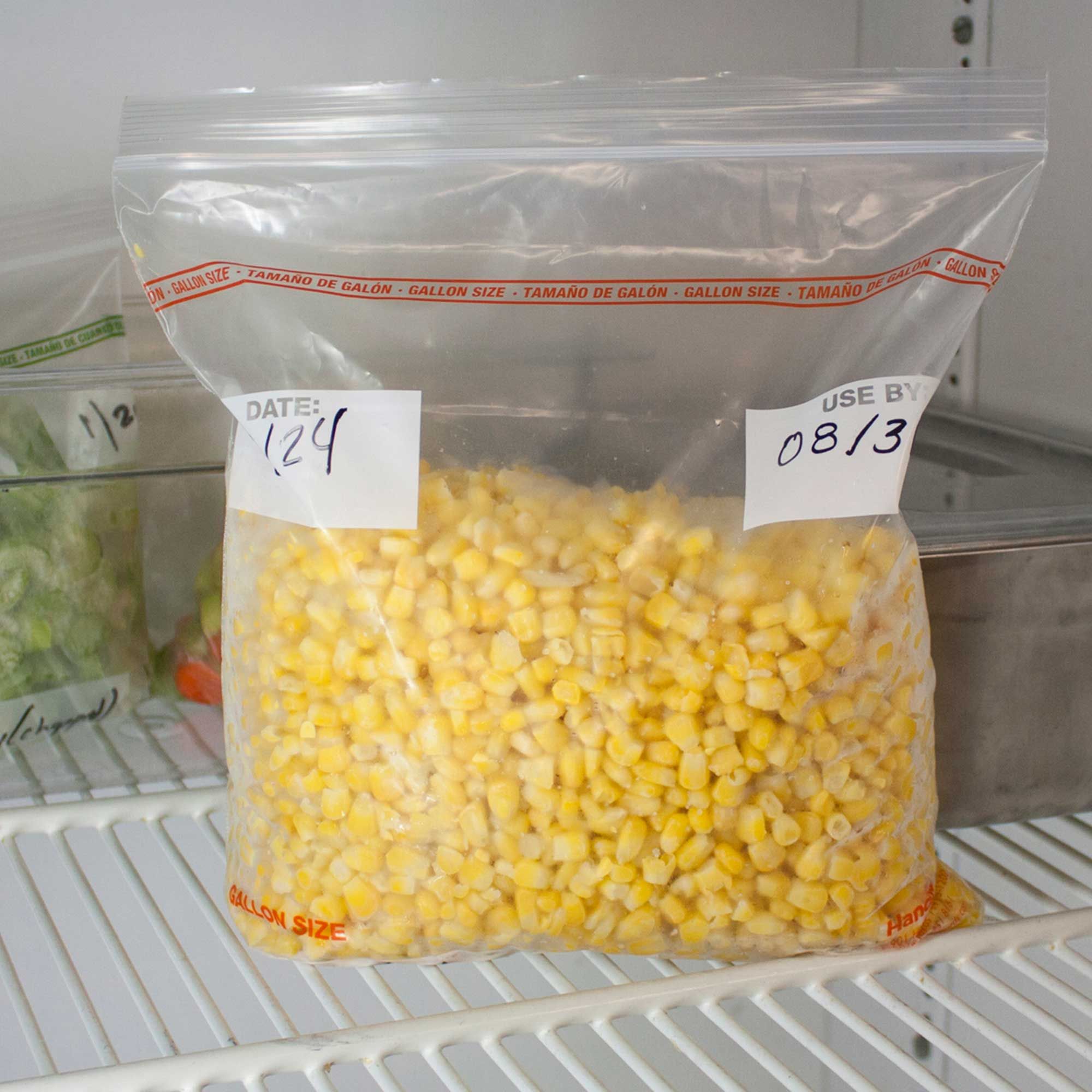 Zipgards Clear Disposable Reclosable Freezer Zipper Bag, 10.5 X 10.5 Inch -- 200 Per Case