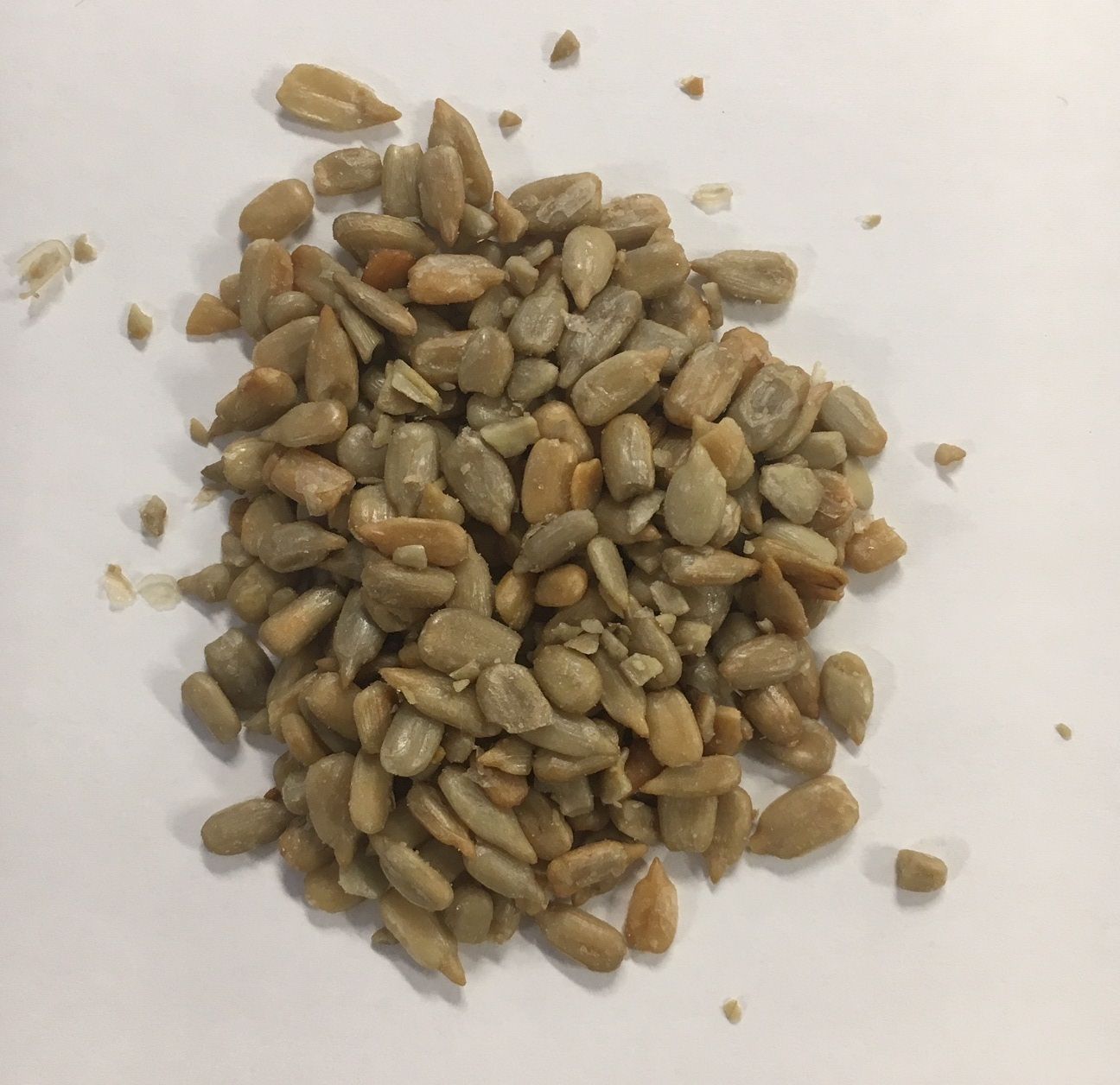 Sunopta Dry Hulled Nut Raw Sunflower Seed, 50 Pound