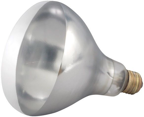 Winco Clear Replacement Bulb For Ehl-2, 250 Watts