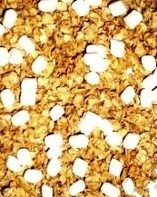 Rockin'ola Strawberry Granola With Mini Marshmallow, 48 Ounce -- 6 Per Case