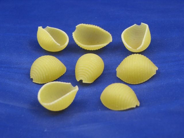 Ravarino & Freschi Medium Shell Pasta, 10 Pound -- 2 Per Case