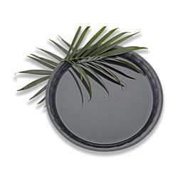 Yoshi Conserve Round Black Tray, 16 Inch -- 25 Per Case