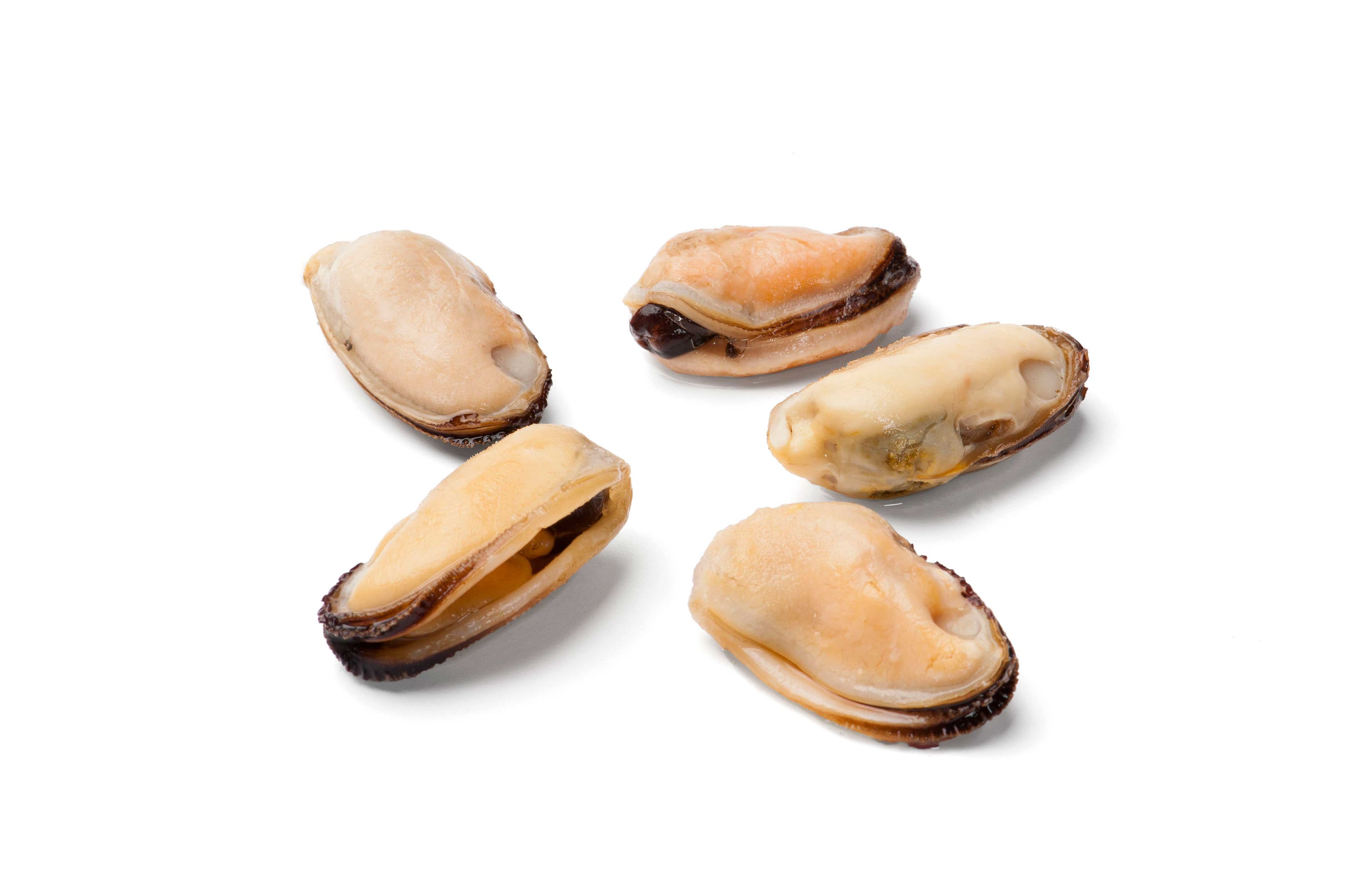 Panapesca Mussel Meat, 5 Pound -- 2 Per Case