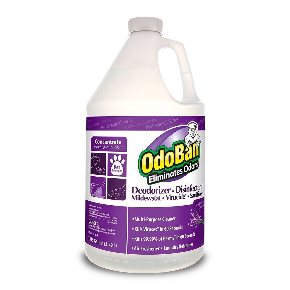 Odoban Odoban Lavender Deodorizer And Disinfectant Concentrate, 1 Gallon -- 4 Per Case