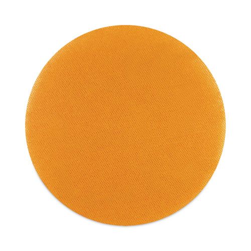 Bona Cleaning/abrasion Drive Plate, 20 Inch