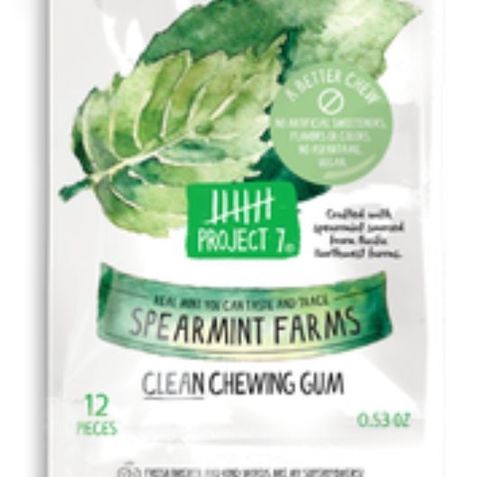 Project 7 Everest Spearmint Farms Clean Chewing Gum, 12 Count -- 12 Per Case