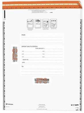Proampac White/gray Vault Bundle Federal Compliant Bag, 15 X 20 Inch -- 250 Per Case