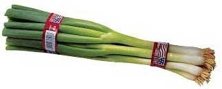 T & T Industries Twist-ems Plu 4629 Red Leeks Tie, 18 Inch -- 1000 Per Case