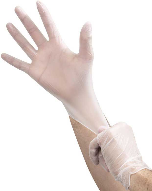 Foodhandler Onesafe Large Clear Powder Free Vinyl Glove -- 800 Per Case