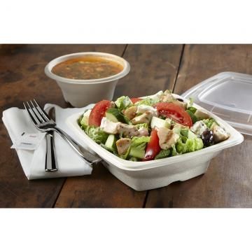 Sabert Natural Pulp Square Bowl, 16 Ounce Capacity -- 300 Per Case
