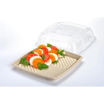 Sabert Natural Pulp Square Platter, 14 Inch -- 25 Per Case