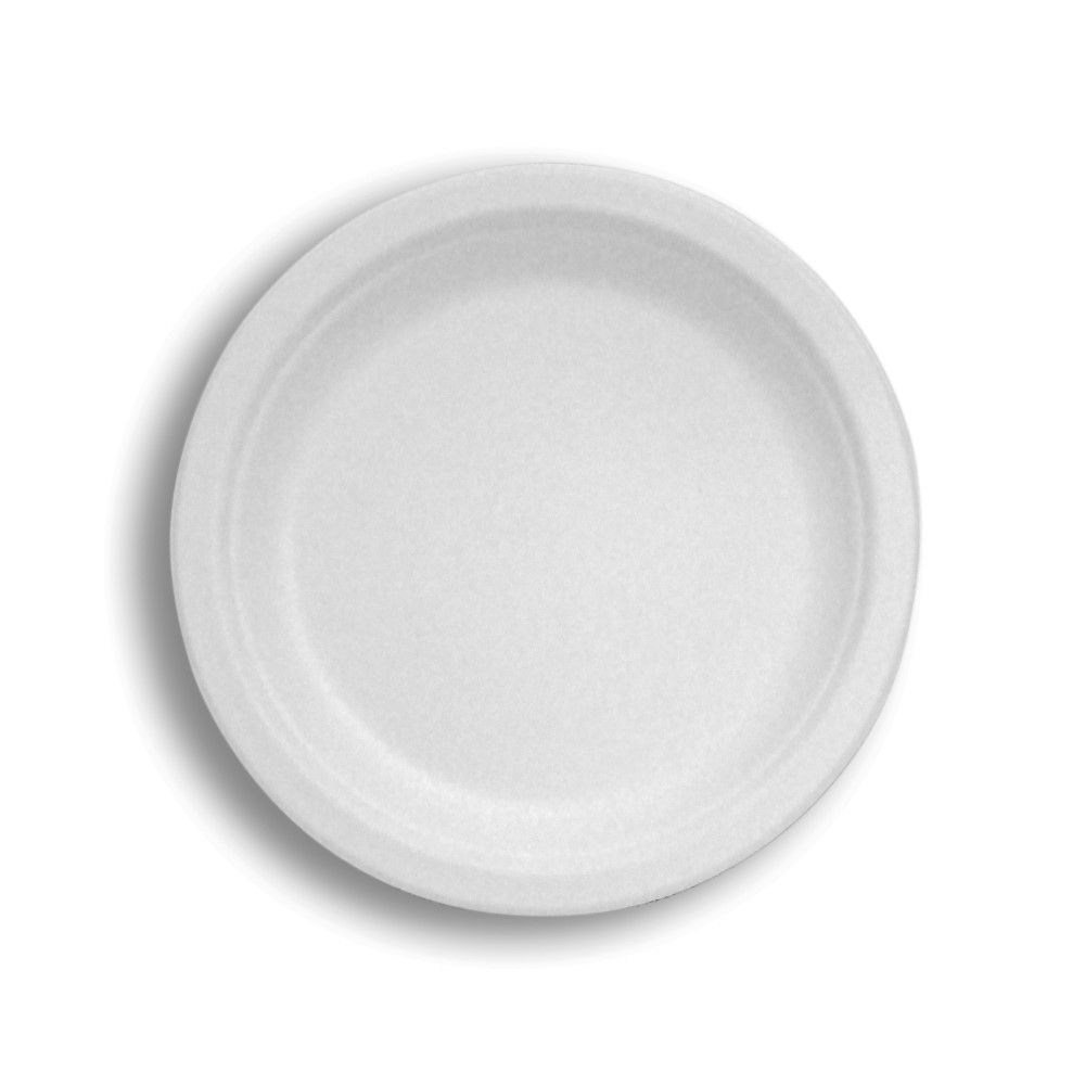 Asean Sugarcane White Compostable Plate, 10 Inch -- 500 Per Case
