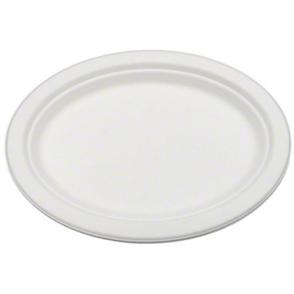 Bridge-gate Alliance Oval White Sugarcane Bagasse Platter -- 500 Per Case