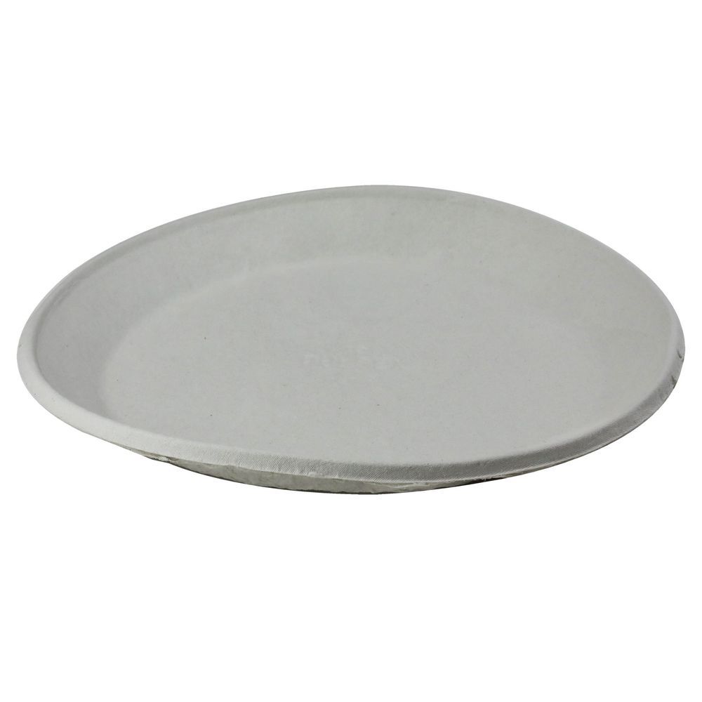 Pulpex Natural Molded Fiber Blend Plate, 10 X 10 X 0.8 Inch -- 250 Per Case