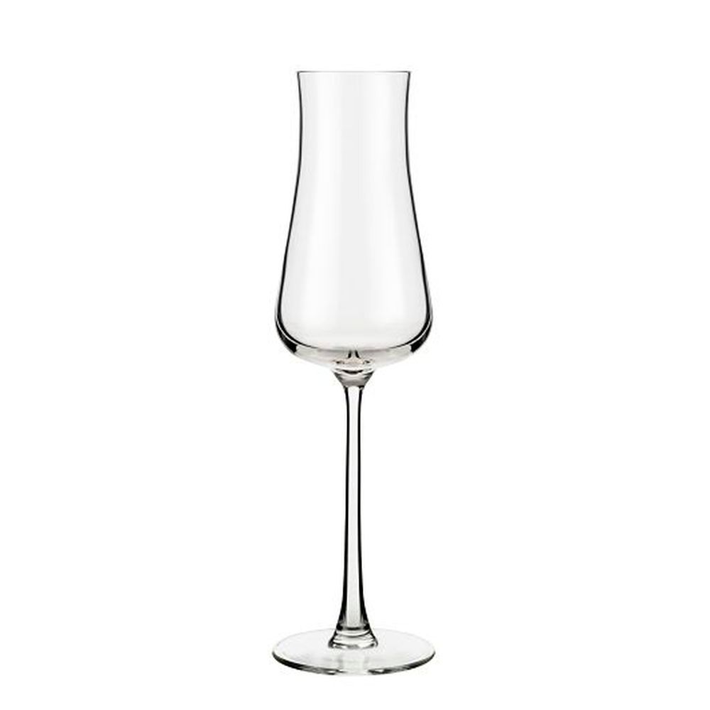 Reserve By Libbey Virtuoso Storytellers Flute Cocktail Glass, 8 Ounce Capacity -- 12 Per Case