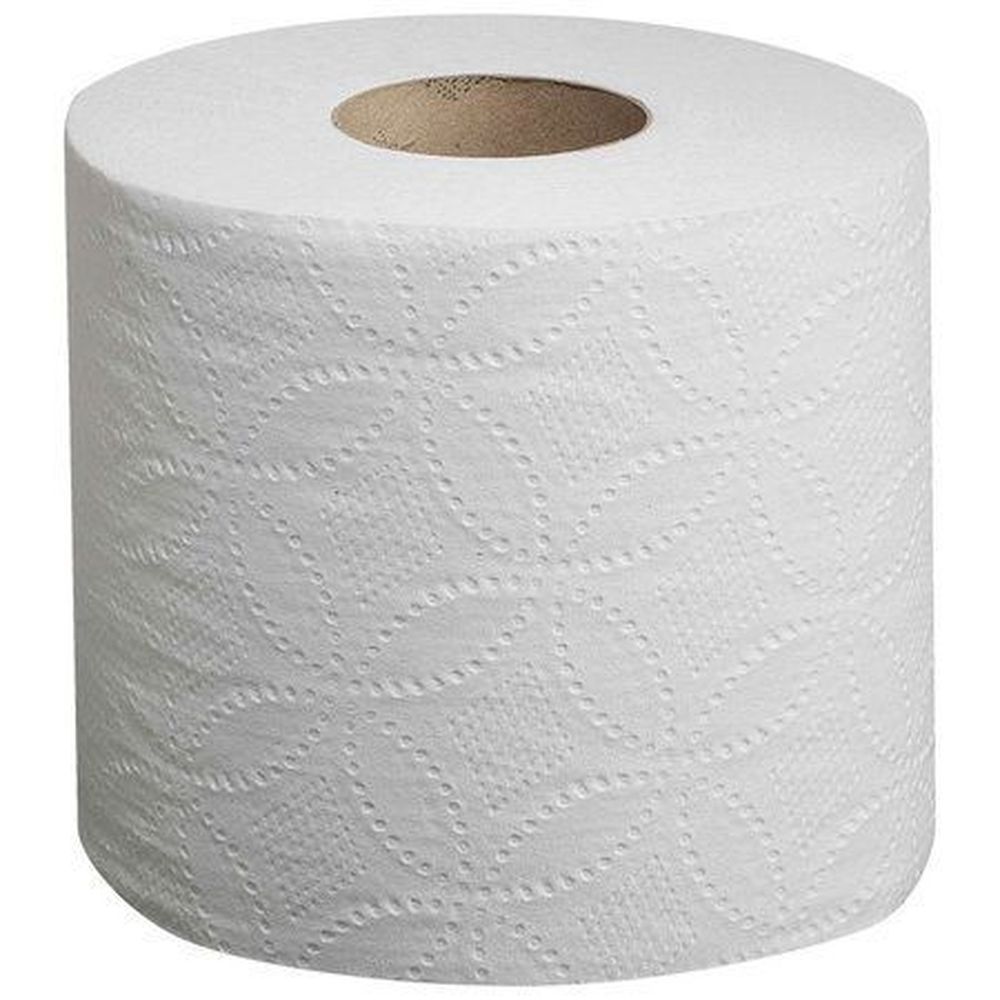 Pacific Blue 4 X 3.8 Inch Basic Whitestandard Embossed 2 Ply Toilet Paper, 550 Count -- 80 Rolls Per Case
