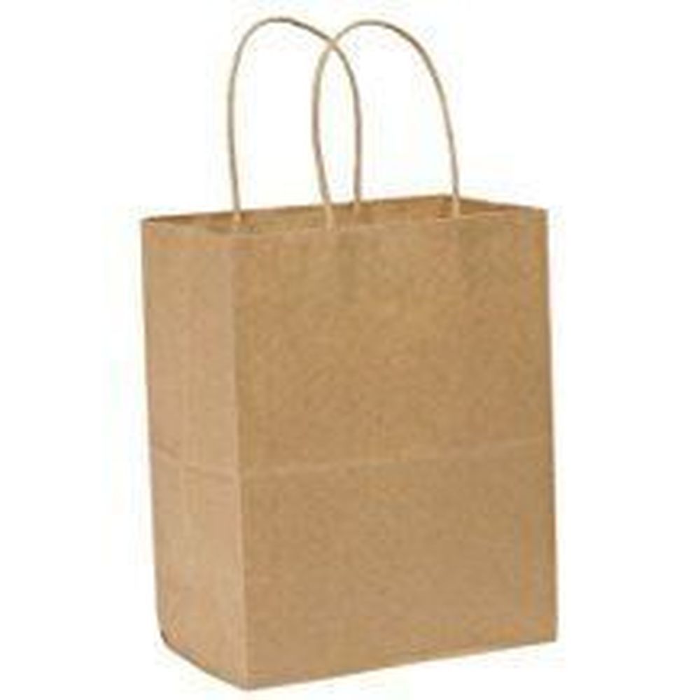 Barnes Paper Bengal Kraft Shopping Bag With Twist Handle, 10 X 7 X 12.5 Inch -- 250 Per Case