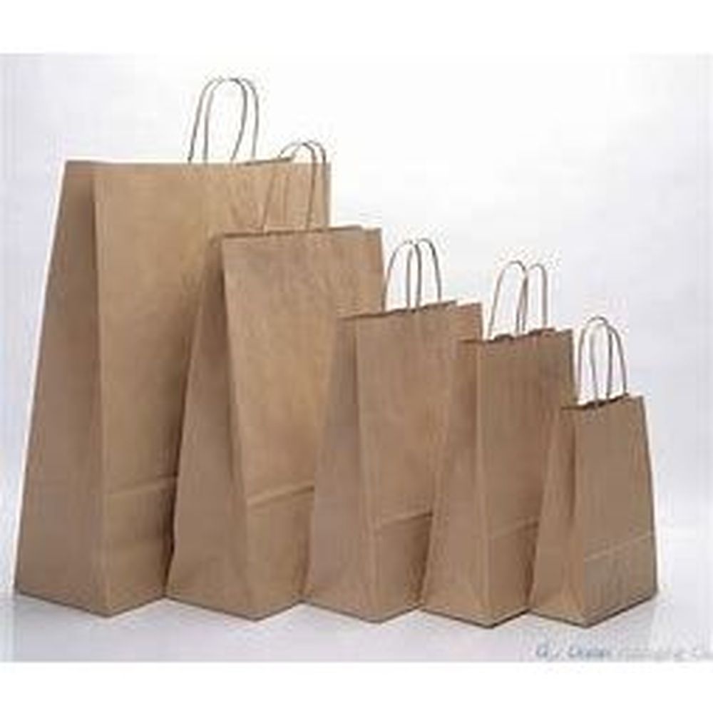 Barnes Paper Jaguar Kraft Shopping Bag With Twist Handle, 16 X 6 X 13 Inch -- 250 Per Case