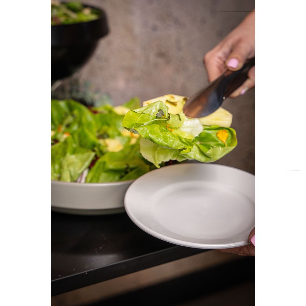 Palm White Porcelain Dinner Plate With Wide Rim, 9 In -- 24 Per Case