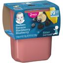 Gerber 2nd Foods Banana Mixed Berries Baby Food, 8 Ounce -- 8 per case.