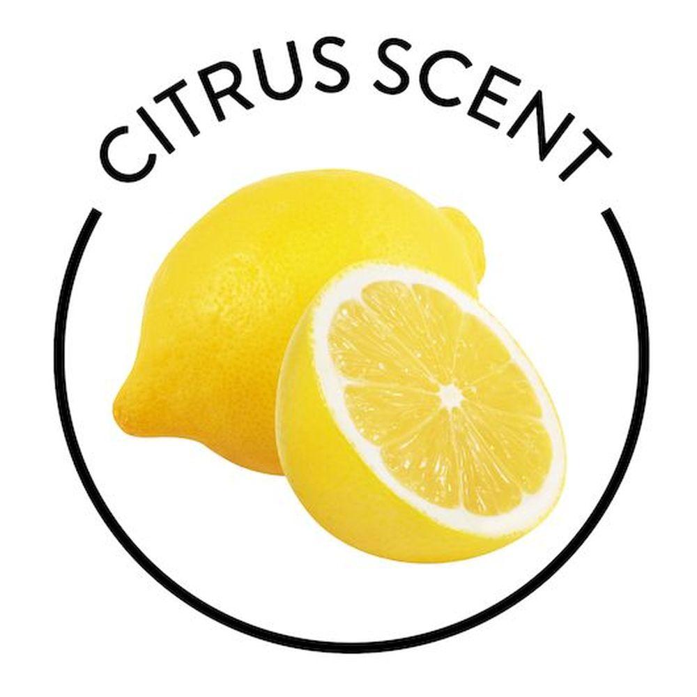 Product gallery 211363806