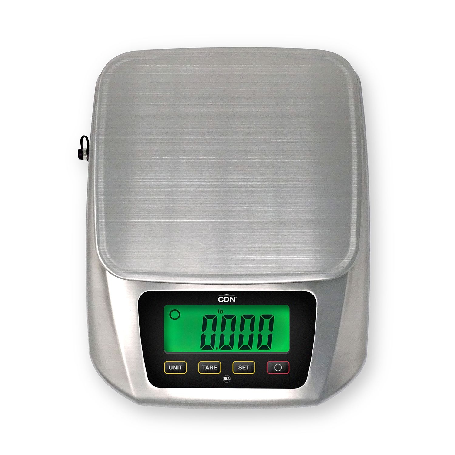 CDN Submersible Scale, 22 Pound Capacity