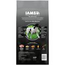 Iams Chicken and Turkey Dog Food, 6 Pound -- 4 per case