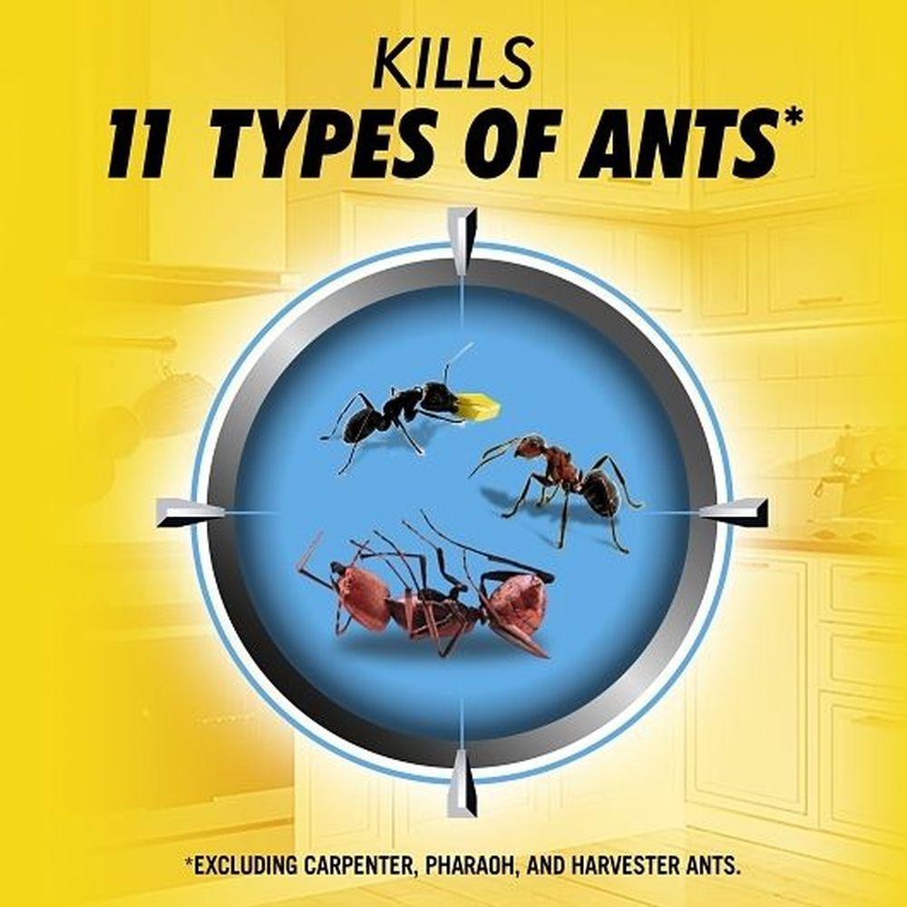 Product gallery 4461107