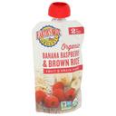 Earths Best Organic Banana Raspberry and Brown Rice Puree for 6 Plus Months Baby, 4.2 Ounce Pouch -- 12 per case