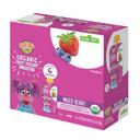 Earths Best Organic Mixed Berry Yogurt Smoothie Toddler Food, 4.2 Ounce Pouch -- 12 per case