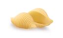 Dececco Enriched Macaroni Shells, 1 Pound -- 12 per case.