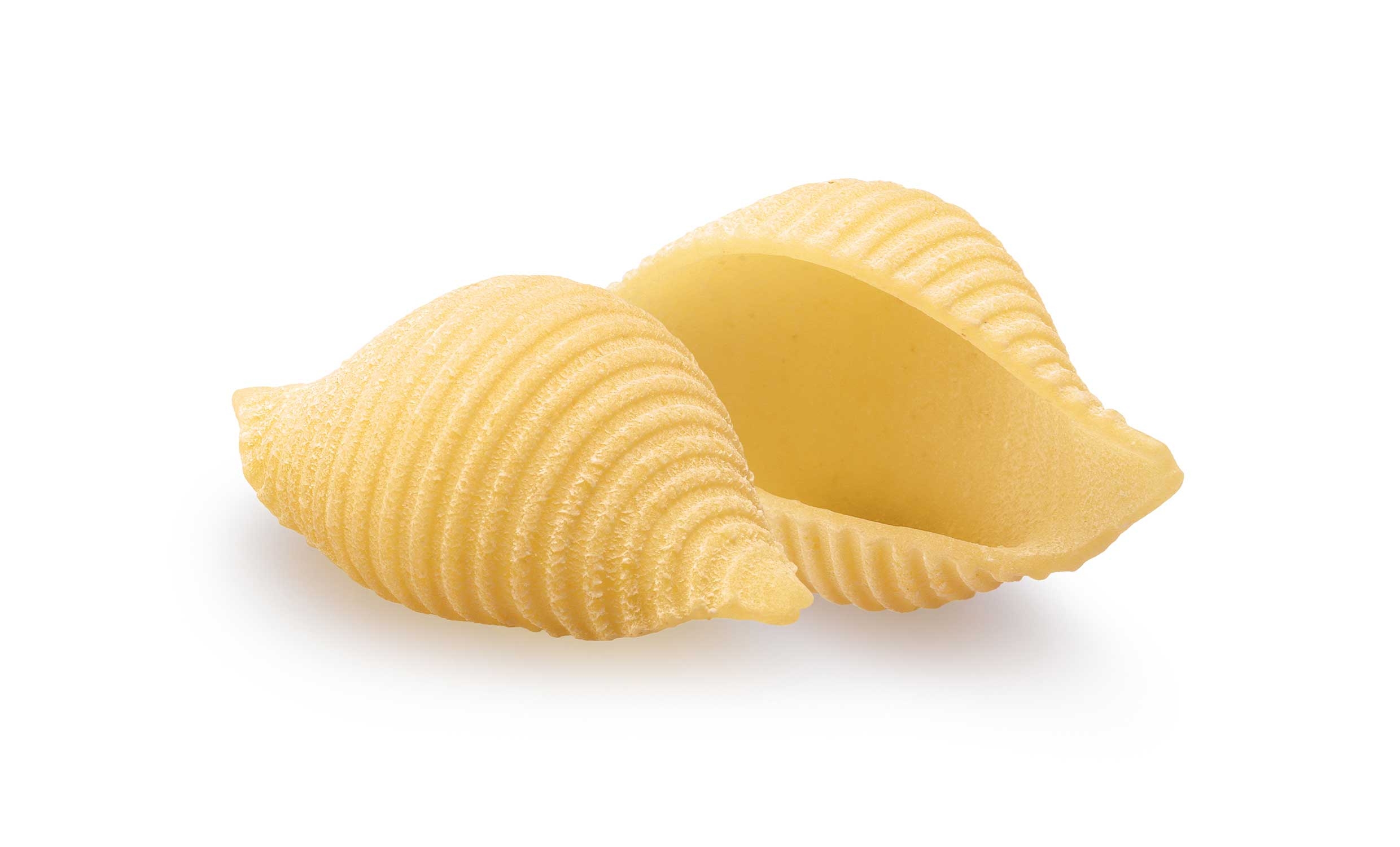 Dececco Enriched Macaroni Shells, 1 Pound -- 12 per case.