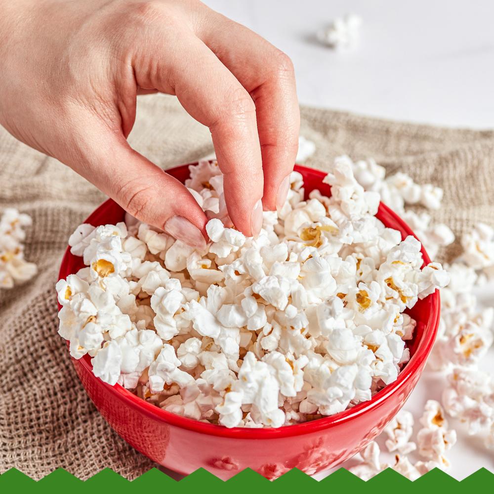 Product gallery 2861411