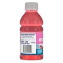 Ocean Spray White Cranberry Strawberry Juice, 10 Fluid Ounce -- 24 per case