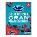 Ocean Spray Blueberry Cranberry Snack Medley, 1 Ounce -- 50 per case