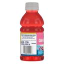 Ocean Spray Cranberry Raspberry Lemonade Juice, 10 Fluid Ounce -- 24 per case