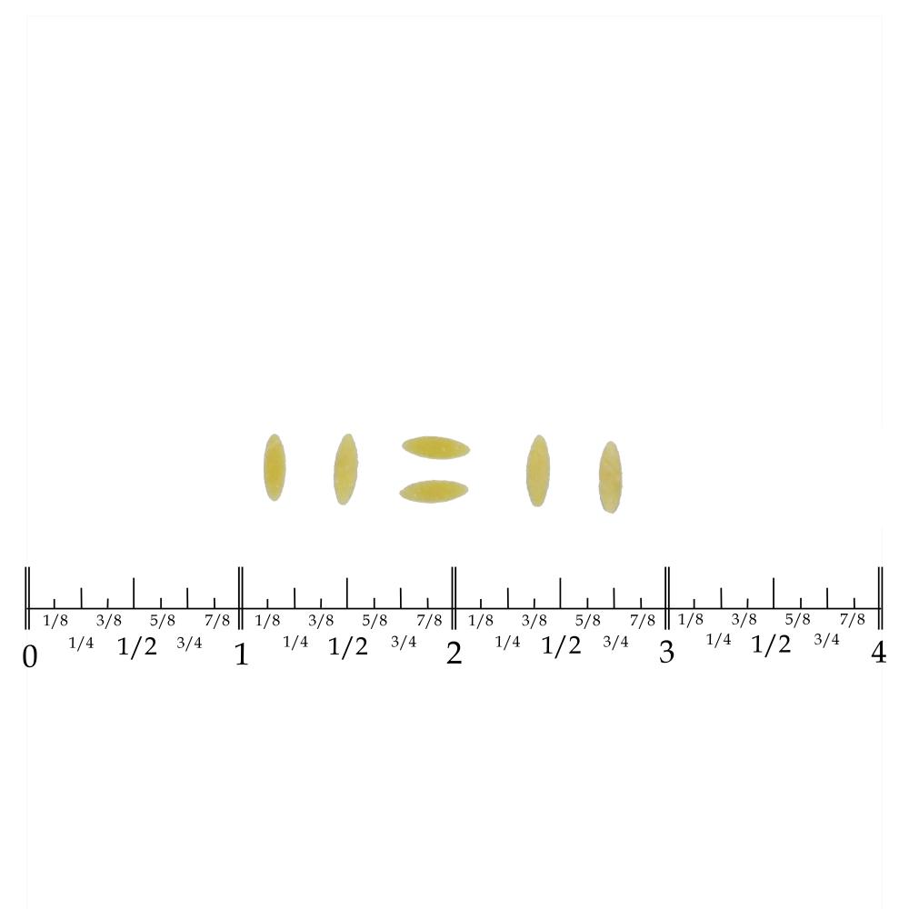 Product gallery 2966731