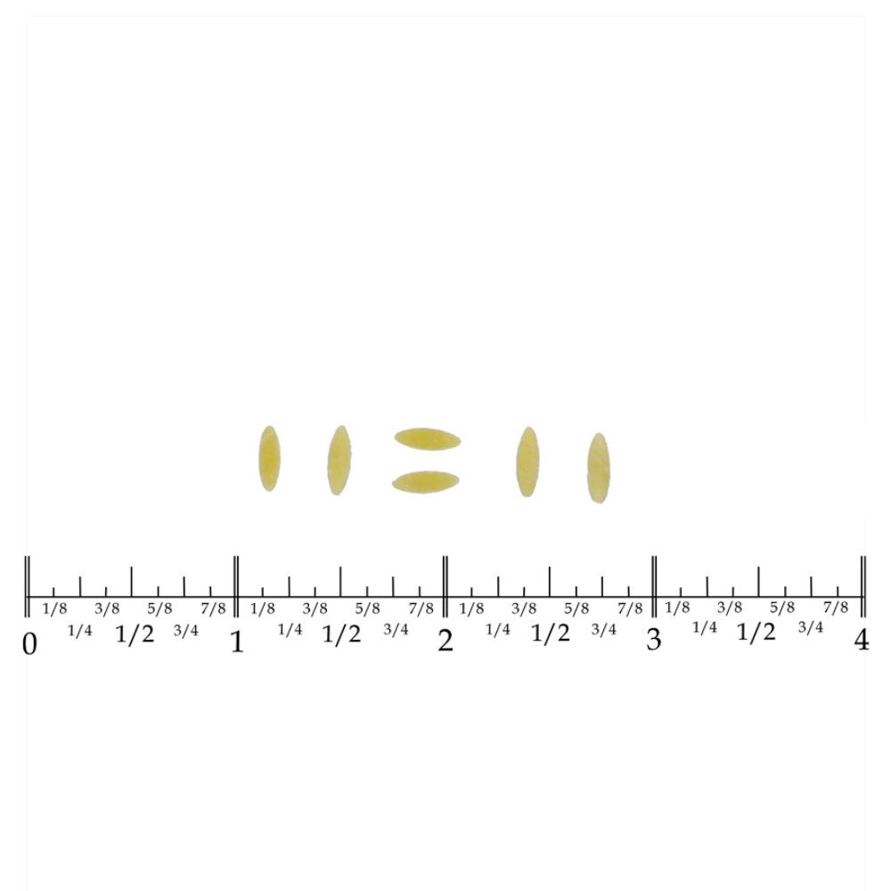 Product gallery 2966743