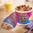 Cereal Cereal In A Cup Raisin Bran Crunch, 2.8 Ounce Each -- 60 Per Case