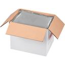 Furmanos Low Sodium All Natural Pinto Beans, 108 Ounce Pouch -- 6 per case