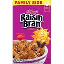 Kelloggs Original Raisin Bran Cereal, 22.1 Ounce -- 18 per case