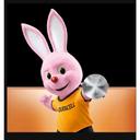 Duracell 2450 3 Volt Lithium Coin Battery, 24 count -- 36 per case