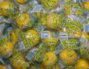 Lemonhead Medium Wrapped Bulk Candy, 27 Pound.
