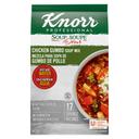 Single Knorr Professional Soup du Jour Chicken Gumbo Soup Mix, 16.9 Ounce