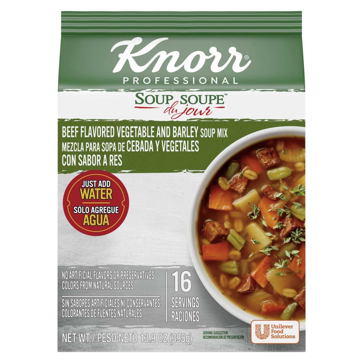 Single Knorr Professional Soup du Jour Beef Vegetable and Barley Soup Mix, 13.9 Ounce