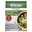 Single Knorr Professional Soup du Jour Italian Style Wedding with Meatballs Soup Mix, 18.2 Ounce