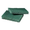 Niagara General Purpose Scrubbing Pad - 40 count per pack -- 2 packs per case