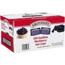Smuckers Seedless Blackberry Jam, 0.5 Ounce -- 200 per case
