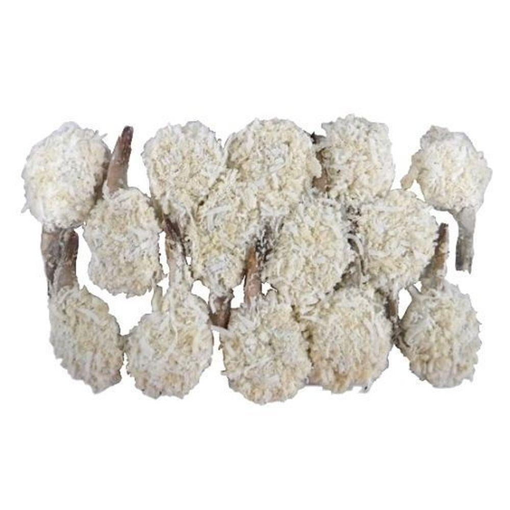 Product gallery 3166186