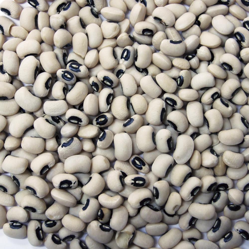 Product gallery 2876900